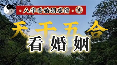 丁壬合婚姻|八字看婚姻感情系列之四【五合看婚姻】